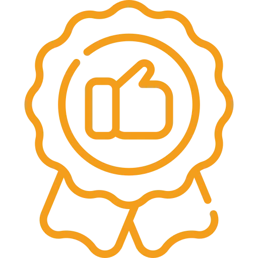 Orange outline of a ribbon award with a thumbs-up symbol in the center, set against a transparent background.